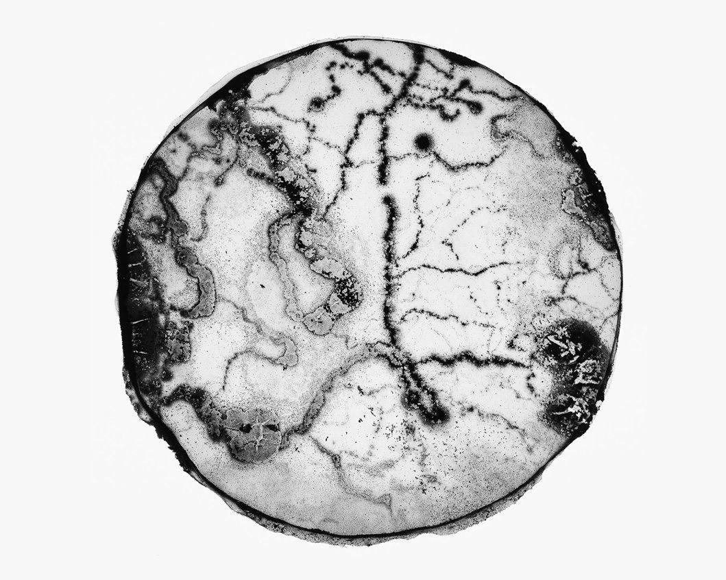 Round black-and-white work with branching, vein-like patterns